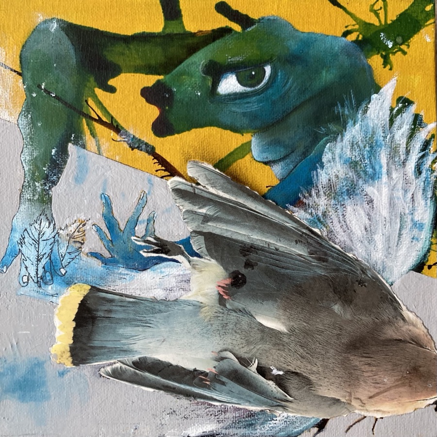 Collage 10