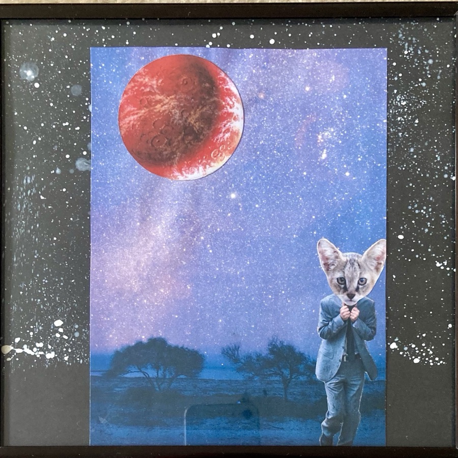 Collage 15
