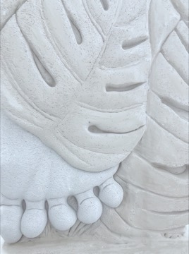 Monstera: view 2